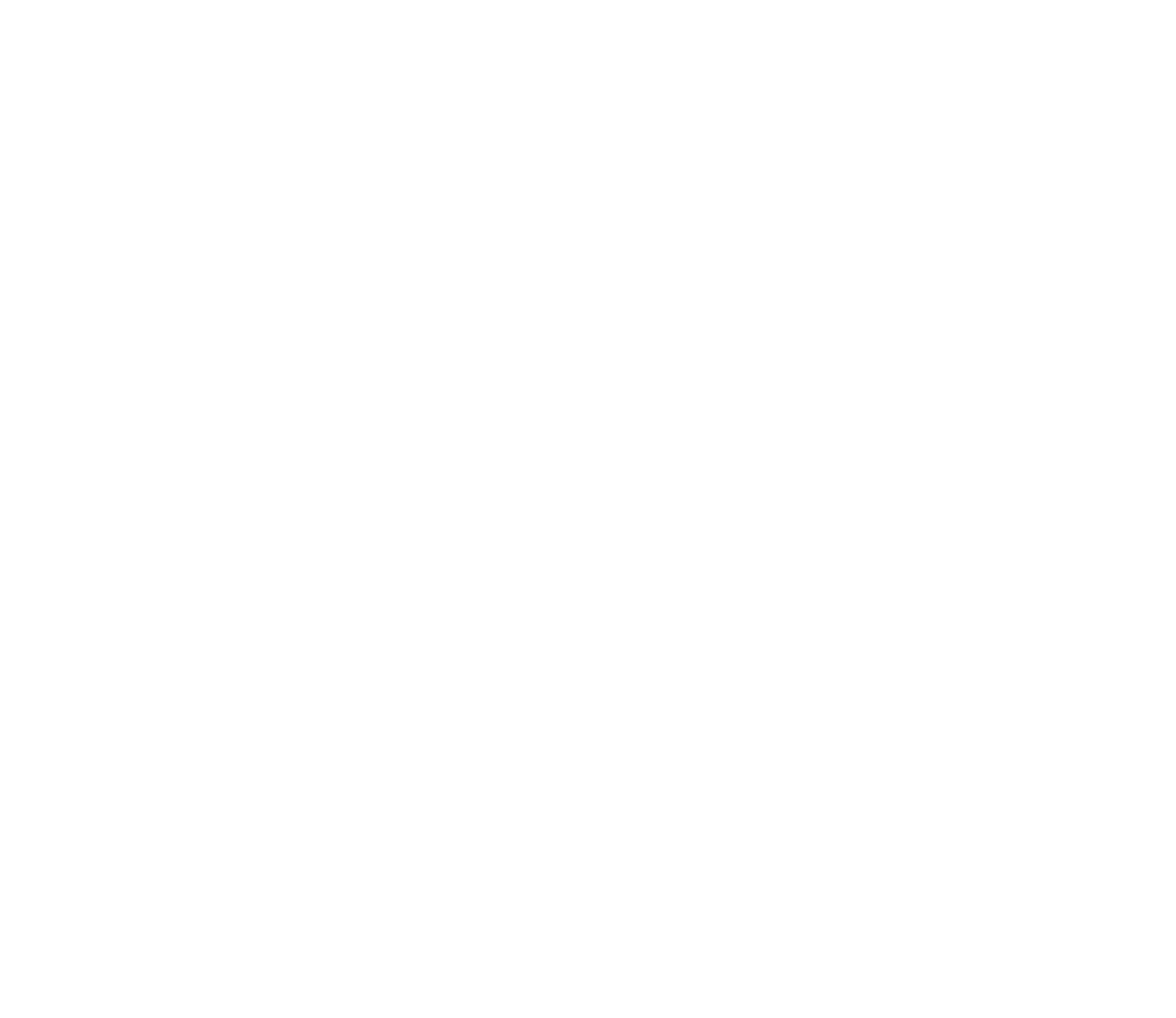 PitStop Bergen logo hvit