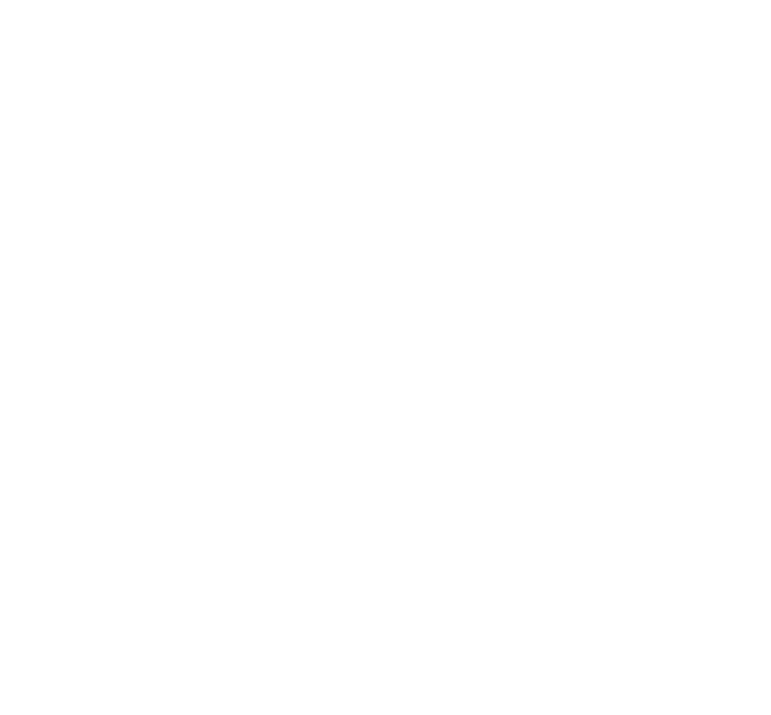 Pitstop logo sotra hvit PitStop Sotra logo hvit